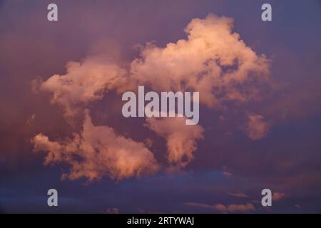 Cumulus clouds in the evening sky, Omaruru, Erongo Region, Namibia Stock Photo