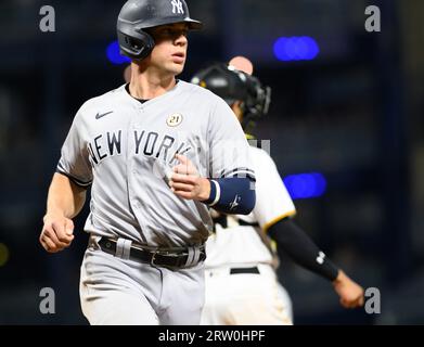 New York Yankees catcher Ben Rortvedt hits during a spring training  baseball workout Thursday, Feb. 16, 2023, in Tampa, Fla. (AP Photo/David J.  Phillip Stock Photo - Alamy