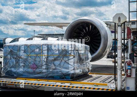 Air cargo logistic containers are loading to an airplane. Air transport shipment prepare for loading to modern freighter jet aircraft at the airport. Stock Photo