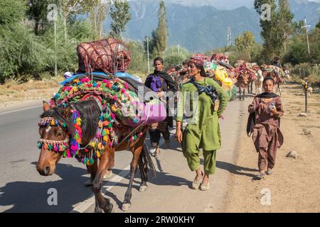 Anantnag, India. 15th Sep, 2023. Kashmiri nomads walk with their livestock while heading back to warmer plains ahead of winter, in Kokernag area some 100km from Srinagar. Every year thousands of nomadic Bakerwal and Gujjar families travel to high-altitude meadows of Kashmir and stay there for the summer months to graze cattle. They head back to the warmer plains ahead of the winter in October. (Photo by Faisal Bashir/SOPA Images/Sipa USA) Credit: Sipa USA/Alamy Live News Stock Photo