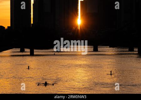 Some stand-up paddlers paddle on the Main in Frankfurt shortly in front of sunset, while the sun shines one last time between the skyscrapers of the Stock Photo