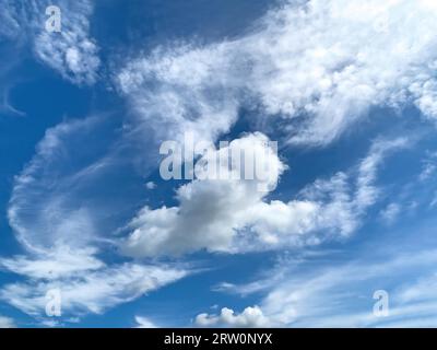 Blue sky with altocumulus clouds in the centre, cirrostratus veil clouds in the background, Germany Stock Photo