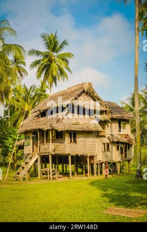 Large simple house made of wood and straw surrounded by greenery in Avatip, Sepik river in Papua New Guinea Stock Photo