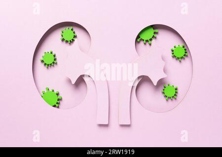 World Kidney Day. Kidney shaped paper. National Organ Donor Day. Kidney health concept. top view banner. Infection, bacteria, disease. High quality ph Stock Photo