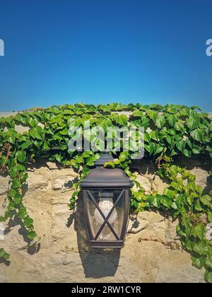 Vintage street lamp hang on an old stone masonry hedge overgrown with wild vines Stock Photo