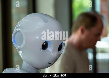 27.06.2023, Germany, Bremen, Bremen - AI-equipped robot at the Transfer Centre for Artificial Intelligence BREMEN.AI at the Bremen AI Days. BREMEN.AI Stock Photo