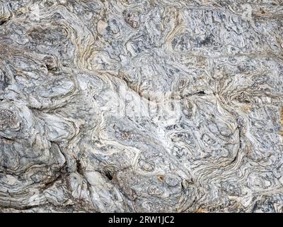 Patterns in metamorphic rocks on the west coast of Arran near North ...