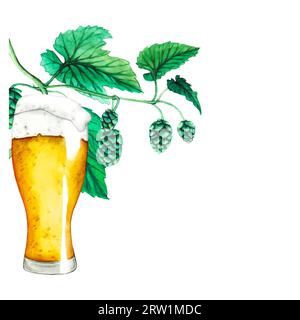 Vector. Fresh green hop. Glass of beer. Graphic hand drawn illustration for Octoberfest. Watercolor sketch for ornament or any design. Stock Vector