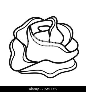 Pickled ginger slices. Hand drawn sketch icon of japanese food element for sushi. Isolated vector illustration in doodle line style. Stock Vector