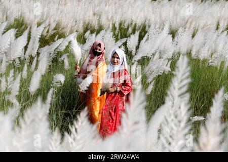 Dhaka, Bangladesh - September 16, 2023: Bangladesh girl with Kash Flower, (wild sugarcane) signs of arrival of autumn at Dhaka in Bangladesh. Stock Photo