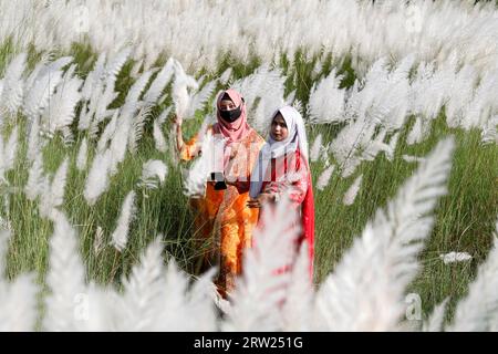 Dhaka, Bangladesh - September 16, 2023: Bangladesh girl with Kash Flower, (wild sugarcane) signs of arrival of autumn at Dhaka in Bangladesh. Stock Photo