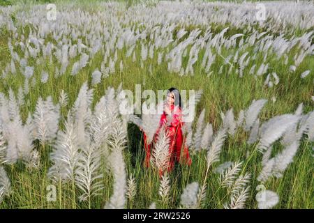 Dhaka, Bangladesh - September 16, 2023: Bangladesh girl with Kash Flower, (wild sugarcane) signs of arrival of autumn at Dhaka in Bangladesh. Stock Photo