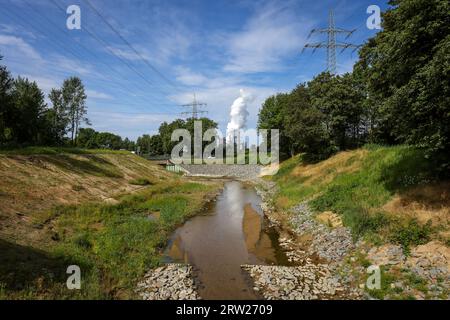 28.07.2023, Germany, North Rhine-Westphalia, Bottrop - Renaturalised Boye, the tributary of the Emscher, has been transformed into a near-natural wate Stock Photo