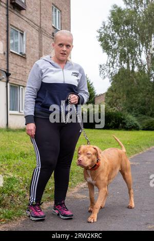 6 Month Old American XL Bully Dog in UK Home Stock Photo