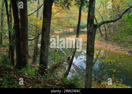 Red Wild andd Scenic River, Red River Gorge Geological Area, Daniel Boone National Forest, Kentucky Stock Photo