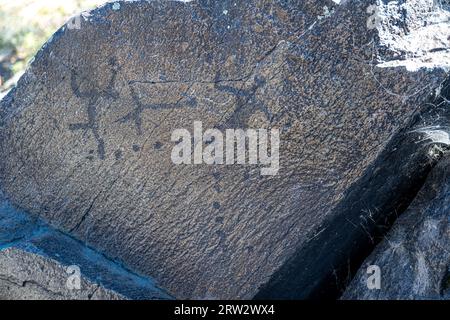 Nez Perce National Historical Park Petroglyphs, WA Stock Photo