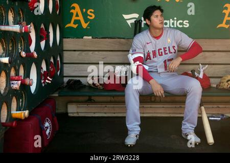 Shohei Ohtani at a sports awards ceremony in Tokyo today (Jan. 11) :  r/angelsbaseball