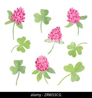 Set of clover flower. Vector watercolor illustration. Stock Vector