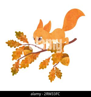 Cute squirrel on the oak tree. Vector watercolor illustration. Stock Vector