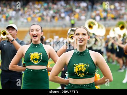 Waco, USA. 16th Sep, 2023. September 16 2023: Baylor Bears cheerleader ...