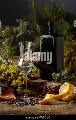 Herbal tincture in an antique bottle of dark glass. Anise, coriander, and juniper berries are scattered on a wooden table. Stock Photo
