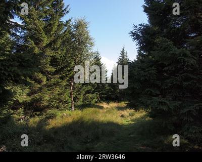 Krkonoše National Park (Harrachov, Jablonec nad Nisou District, Liberec Region, Czech Republic) Stock Photo