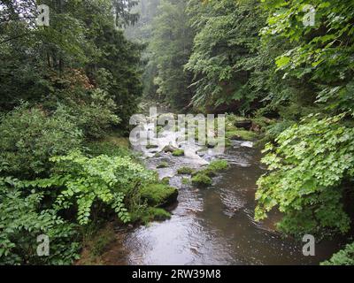 Kamienna river (Szklarska Poręba, Karkonosze County, Lower Silesian Voivodeship, Republic of Poland) Stock Photo
