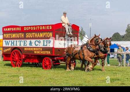 16th September, 2023. Newbury Show returned today for the first time since the pandemic. The event took place over the weekend of 16th and 17th September on Newbury Showground, Berkshire, England, UK,  after a three year gap. The show, also called the Royal County of Berkshire Show was organised by The Newbury & District Agricultural Society, and was well attended. A pair of heavy horses pulling a carriage. Stock Photo