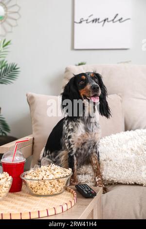 Cute cocker spaniel dog with bowls of popcorn, soda and TV remote sitting on sofa in living room Stock Photo