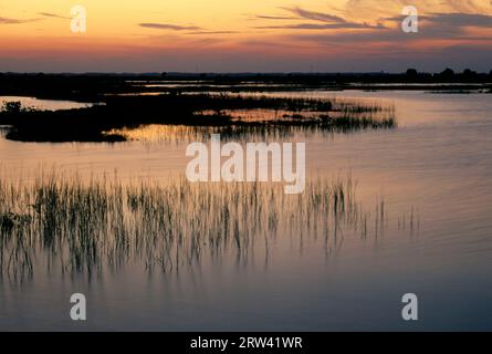 Sunset along Black Point Wildlife Drive, Merritt Island National Wildlife Refuge, Florida Stock Photo