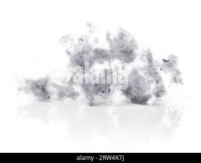 Dust bunnies on white reflecting background Stock Photo