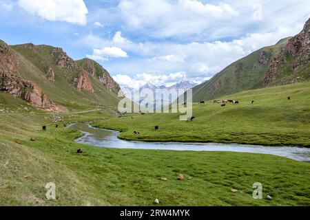 Mountains, river and farm animals, Tien Shan, Kyrgyzstan Stock Photo