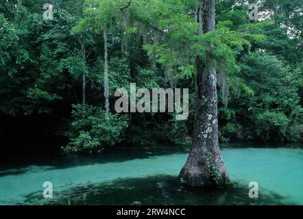 Ponce de Leon Springs, Ponce de Leon Springs State Park, Florida Stock Photo