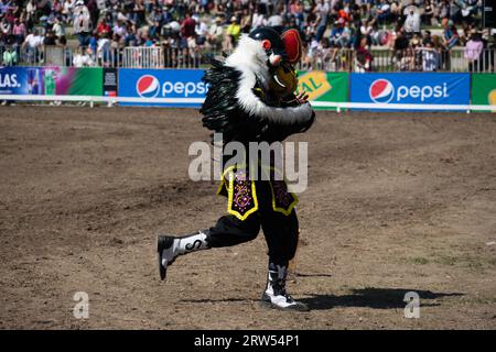 Santiago, Metropolitana, Chile. 16th Sep, 2023. A man disguised as a condor performs during Independence Day celebrations in Santiago, Chile. (Credit Image: © Matias Basualdo/ZUMA Press Wire) EDITORIAL USAGE ONLY! Not for Commercial USAGE! Stock Photo