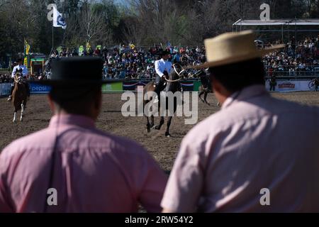 Santiago, Metropolitana, Chile. 16th Sep, 2023. Chilean horseback riders, called Huasos, perform during the Independence Day celebrations in Santiago, Chile. (Credit Image: © Matias Basualdo/ZUMA Press Wire) EDITORIAL USAGE ONLY! Not for Commercial USAGE! Stock Photo