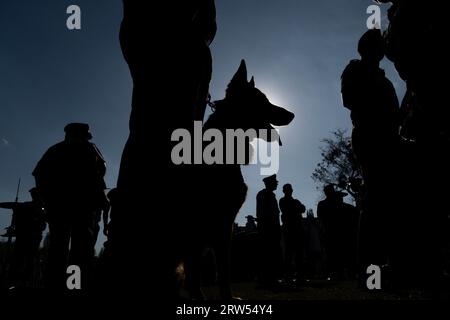 Santiago, Metropolitana, Chile. 16th Sep, 2023. Police officers and their trained dogs prepare to perform during the Independence Day celebrations in Santiago, Chile. (Credit Image: © Matias Basualdo/ZUMA Press Wire) EDITORIAL USAGE ONLY! Not for Commercial USAGE! Stock Photo