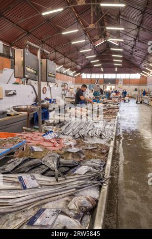 Fish and seafood section of the Olhao municipal market in Algarve, Portugal. Stock Photo