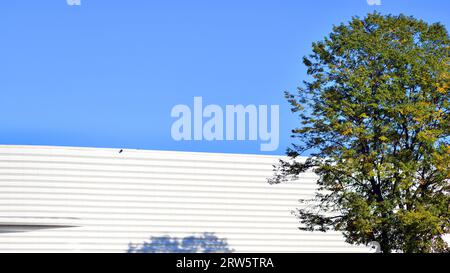 Minimalist photo of an exterior of a modern tin building Stock Photo