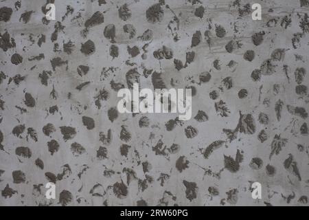Gray putty design on the wall of the house. Background with a fresh texture of the facade of the house Stock Photo