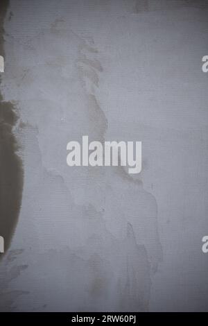 Gray plaster on the facade of the house as a background Stock Photo