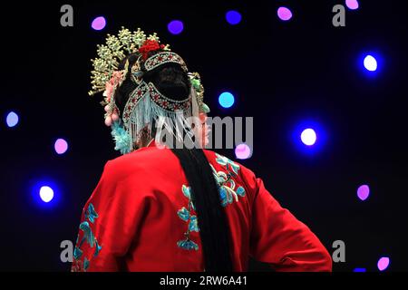Beautiful Chinese Peking Opera headdress Stock Photo