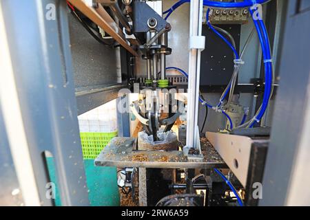 The machine automatically fills the plastic bag with edible fungus matrix Stock Photo