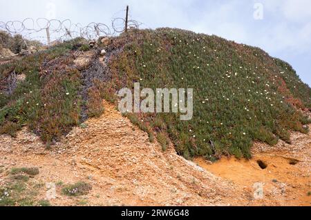 Cliff erosion at Barton on Sea, New Milton, Hants, England, UK Stock Photo