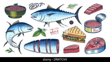 Tuna seafood. Fishes sketch. Retro ink style. Freshwater river fish. Sandwich and canned food. Hand drawn vector illustration for market, menu, label Stock Vector