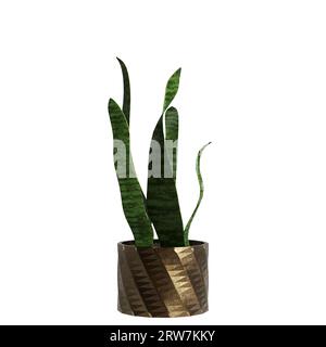 3d illustration of houseplant isolated white background Stock Photo