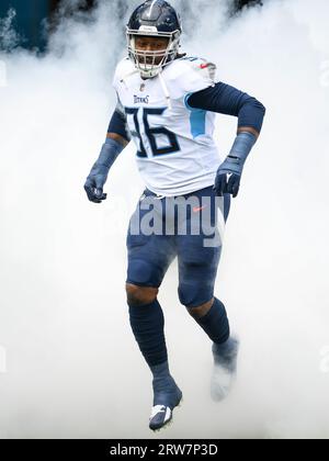 Tennessee Titans defensive tackle Denico Autry (96) walks back to the line  of scrimmage during the first half of an NFL football game against the New  England Patriots, Sunday, Nov. 28, 2021