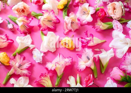 Floral composition on pink background Stock Photo