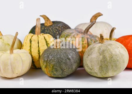 Mix of different colorful pumpkins and squashes on light gray background Stock Photo