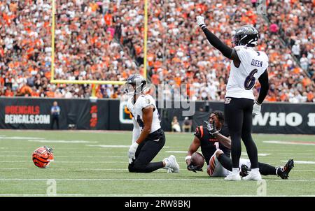 Cincinnati Bengals players huddle during an NFL football game against the Baltimore  Ravens, Sunday, Jan. 8, 2023, in Cincinnati. (AP Photo/Jeff Dean Stock  Photo - Alamy