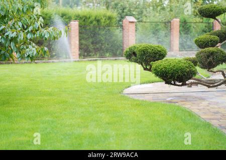 watering system for coniferous plants. Underground or in ground irrigation system. Water irrigation. Automatic sprinkler system. Saving water and time Stock Photo